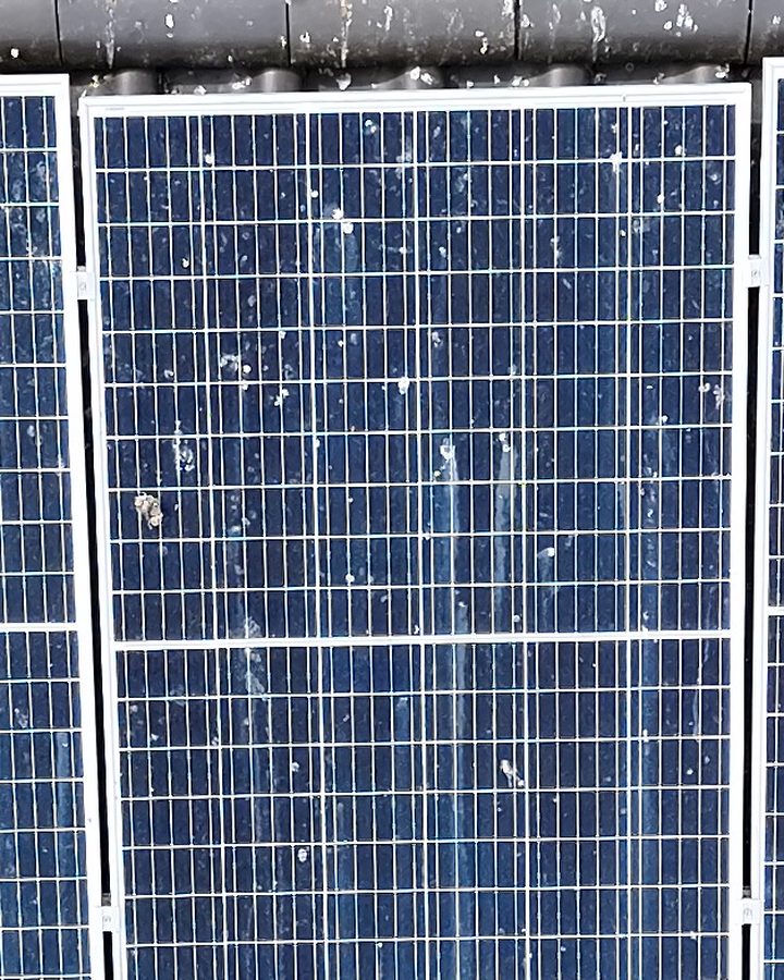 Foto desselben PV-Moduls: Auf der heißen Zelle liegt Schmutz